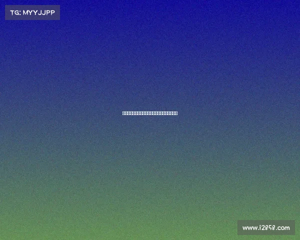 赛事监督的本质解析定义核心职能及其重要性探讨